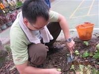 1010424小園丁實務工作-種植薄荷和合果芋