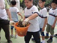 1010424小園丁實務工作-種植薄荷和合果芋