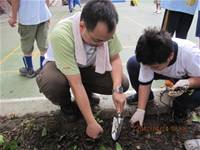 1010424小園丁實務工作-種植薄荷和合果芋