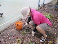 1010424小園丁實務工作-種植薄荷和合果芋
