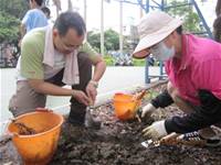 1010424小園丁實務工作-種植薄荷和合果芋