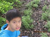 1010427小園丁實務工作-整理香草園區