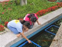 1010427小園丁實務工作-整理香草園區