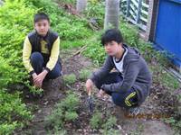 1010427小園丁實務工作-整理香草園區