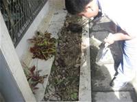 1010501小園丁實務工作