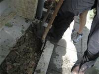 1010501小園丁實務工作