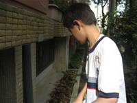 1010501小園丁實務工作