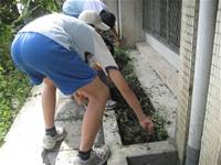 1010501小園丁實務工作