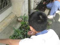 1010501小園丁實務工作