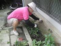 1010501小園丁實務工作