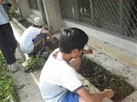 1010501小園丁實務工作