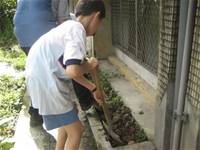 1010501小園丁實務工作