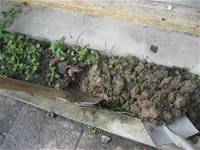 1010501小園丁實務工作