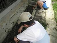 1010501小園丁實務工作