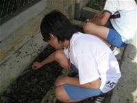 1010501小園丁實務工作