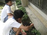 1010501小園丁實務工作