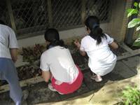 1010501小園丁實務工作