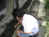 1010501小園丁實務工作