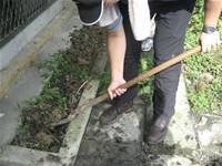 1010501小園丁實務工作