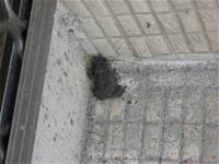 1010501小園丁實務工作