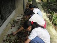 1010501小園丁實務工作