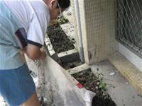 1010501小園丁實務工作