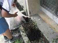 1010501小園丁實務工作