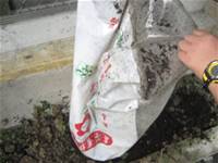 1010501小園丁實務工作