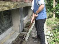 1010501小園丁實務工作