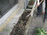 1010501小園丁實務工作