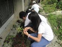 1010501小園丁實務工作