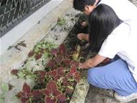 1010501小園丁實務工作