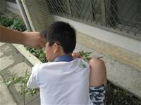 1010501小園丁實務工作