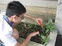 1010501小園丁實務工作