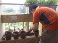 1010508小園丁實務工作