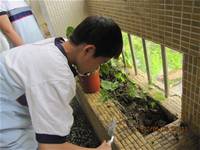 1010508小園丁實務工作