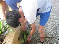 1010508小園丁實務工作