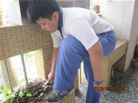 1010508小園丁實務工作