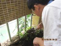1010508小園丁實務工作