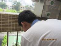 1010508小園丁實務工作