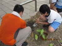 1010508小園丁實務工作