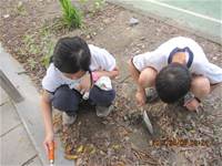 1010508小園丁實務工作