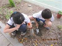 1010508小園丁實務工作