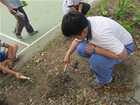 1010508小園丁實務工作