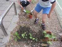 1010508小園丁實務工作