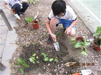 1010508小園丁實務工作