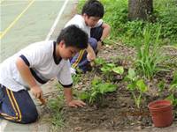 1010508小園丁實務工作