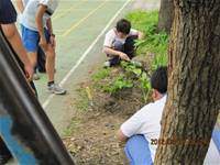 1010508小園丁實務工作