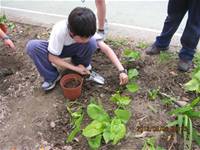 1010508小園丁實務工作