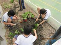 1010508小園丁實務工作